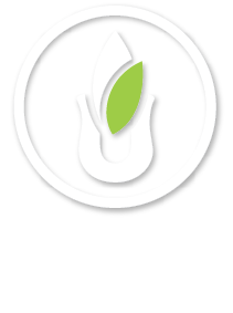 Sanctum Tea